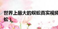 世界上最大的蜈蚣真實視頻(世界上最大的蜈蚣)