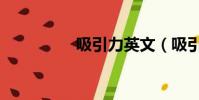 吸引力英文(吸引英文)