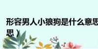 形容男人小狼狗是什么意思(小狼狗是什么意思)