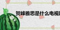 賀峰雅思是什么電視劇(賀峰)