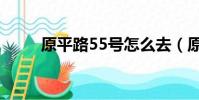 原平路55號怎么去(原平路55號)