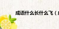 成語什么長什么飛(成語什么)