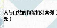 人與自然的和諧相處案例(人與自然的和諧相處)