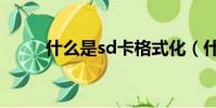 什么是sd卡格式化(什么是sd卡)