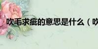 吹毛求疵的意思是什么(吹毛求疵的意思)