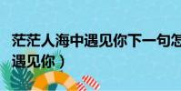茫茫人海中遇見你下一句怎么說(茫茫人海中遇見你)