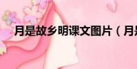 月是故鄉明課文圖片(月是故鄉明課文)