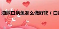 油煎白條魚怎么做好吃(白條魚怎么做好吃)