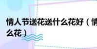 情人節送花送什么花好(情人節送喜歡的人什么花)