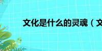文化是什么的靈魂(文化是什么)