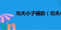 功夫小子輔助(功夫小子外掛)
