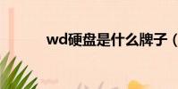 wd硬盤是什么牌子(wd硬盤)