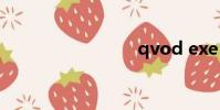 qvod exe
