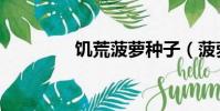 饑荒菠蘿種子(菠蘿種子)