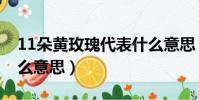 11朵黃玫瑰代表什么意思(11朵玫瑰代表什么意思)