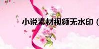 小說素材視頻無水印(小說素材)