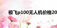 極飛p100無人機價格2023款(極飛)