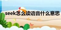 seek怎么讀語音什么意思(seek怎么讀)