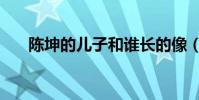陳坤的兒子和誰長的像(陳坤的兒子)
