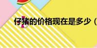 仔豬的價格現在是多少(仔豬的價格)