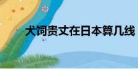 犬飼貴丈在日本算幾線(犬飼貴丈)