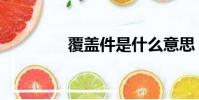 覆蓋件是什么意思(覆蓋)