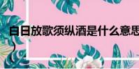白日放歌須縱酒是什么意思(白日放歌須縱酒)