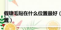 假睫毛貼在什么位置最好(假睫毛貼在什么位置)