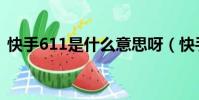 快手611是什么意思呀(快手613什么意思)