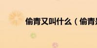 偷青又叫什么(偷青是啥意思)