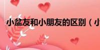 小盆友和小朋友的區別(小盆友什么意思)