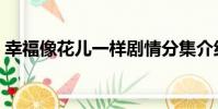 幸福像花兒一樣劇情分集介紹(幸福像花兒)