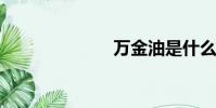 萬金油是什么梗