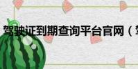 駕駛證到期查詢平臺官網(駕駛證到期查詢)