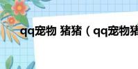 qq寵物 豬豬(qq寵物豬豬免費領養)