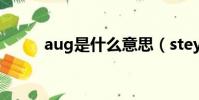 aug是什么意思(steyr aug a1)