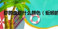 蝦的血是什么顏色(蚯蚓的血是什么顏色)