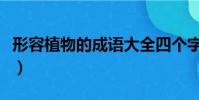 形容植物的成語大全四個字(形容植物的成語)