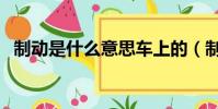 制動是什么意思車上的(制動是什么意思)