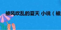 被風吹亂的夏天 小說(被風吹亂的夏天)