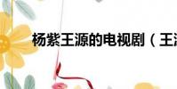 楊紫王源的電視劇(王源的電視劇)
