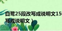 白鷺25段改寫成說明文150字(白鷺2 5段改寫成說明文)