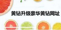 黃鉆升級豪華黃鉆網址(黃鉆升級)