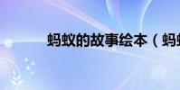 螞蟻的故事繪本(螞蟻的故事)