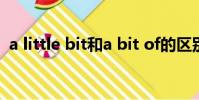 a little bit和a bit of的區別(a little bit)