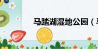 馬踏湖濕地公園(馬踏湖)
