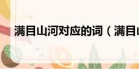 滿目山河對應的詞(滿目山河情侶網名)