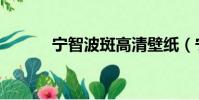寧智波斑高清壁紙(寧智波斑)