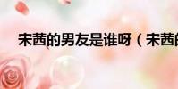 宋茜的男友是誰呀(宋茜的男朋友是誰)