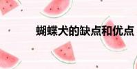 蝴蝶犬的缺點和優點(蝴蝶犬)
